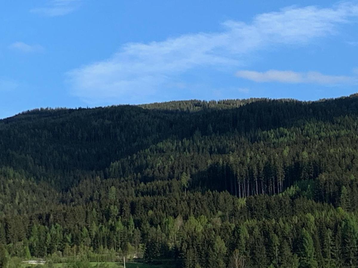 Landgasthof Zur Post Mitterdorf im Mürztal Exteriör bild