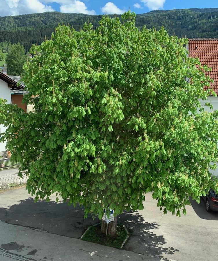 Landgasthof Zur Post Mitterdorf im Mürztal Exteriör bild
