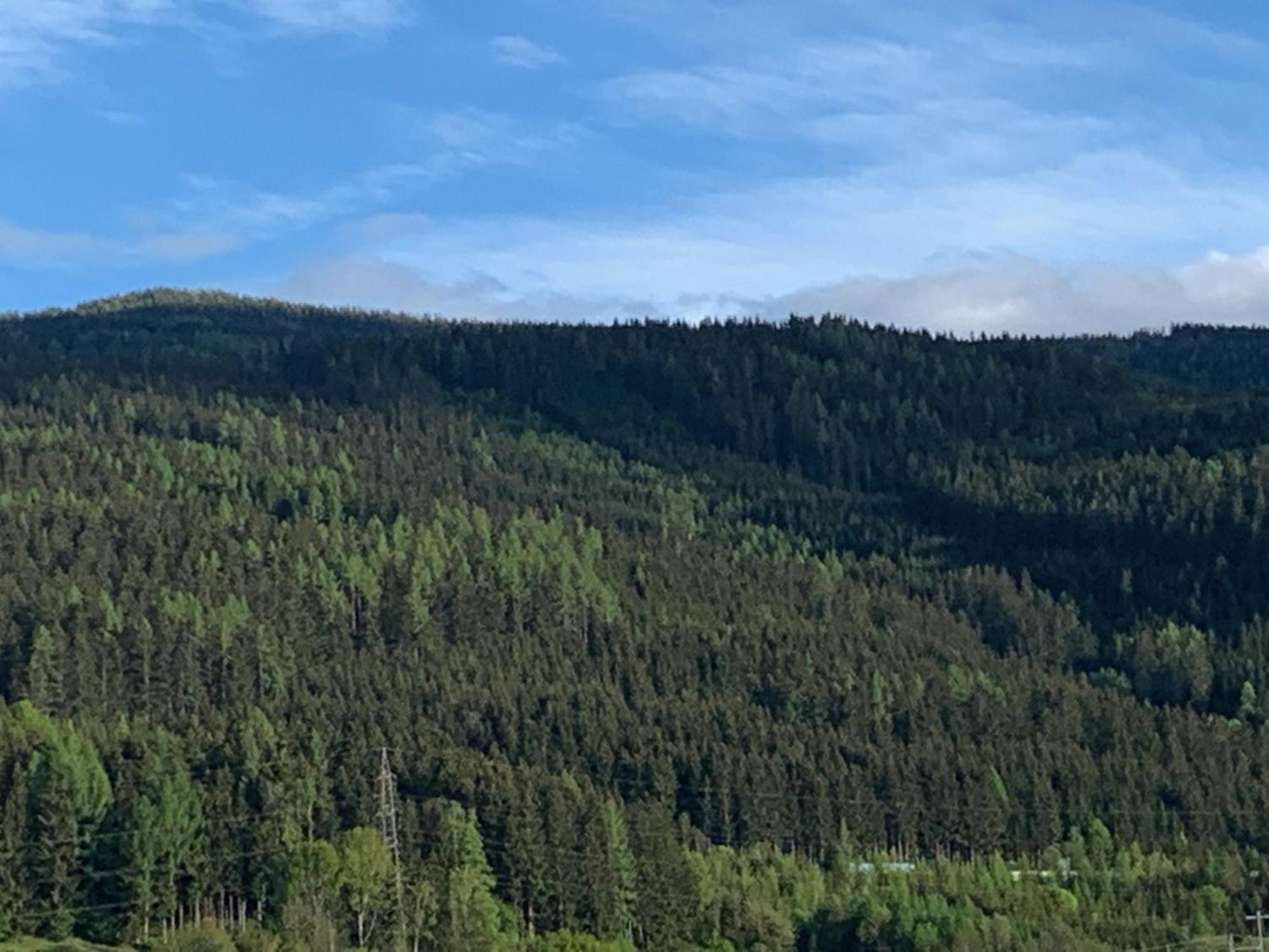 Landgasthof Zur Post Mitterdorf im Mürztal Rum bild